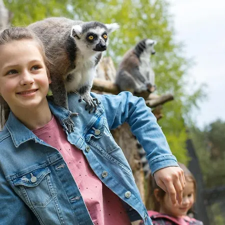 Курортный комплекс Dolina Charlotty Resort&spa Слупск