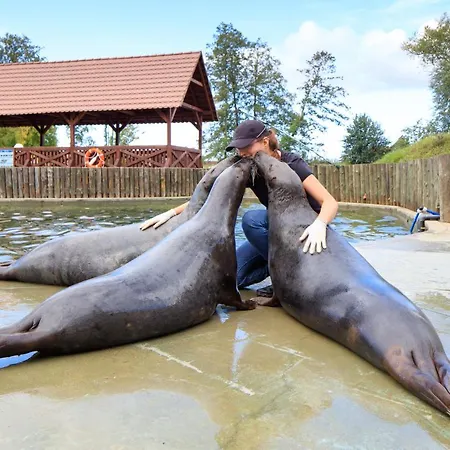 Dolina Charlotty Resort&spa 4*