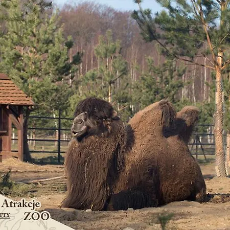 Dolina Charlotty Resort&spa