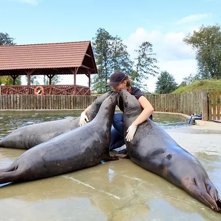 Dolina Charlotty Resort&spa