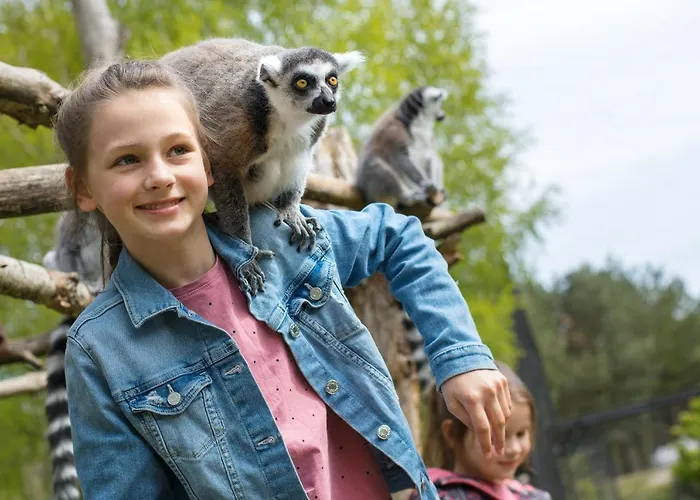 Semesteranläggning (resort) Dolina Charlotty Resort&spa Słupsk