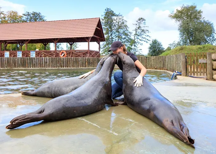 Dolina Charlotty Resort&spa 4*