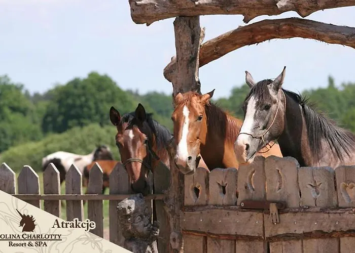 Dolina Charlotty Resort&spa Semesteranläggning (resort)