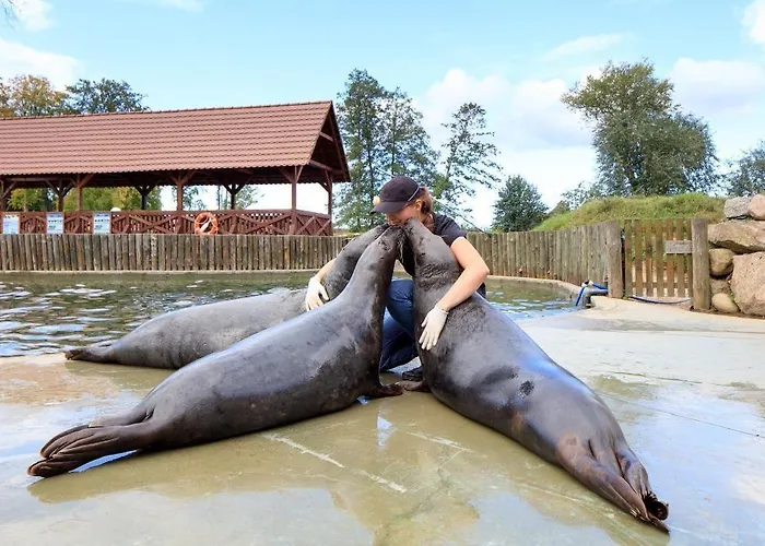 Dolina Charlotty Resort&spa