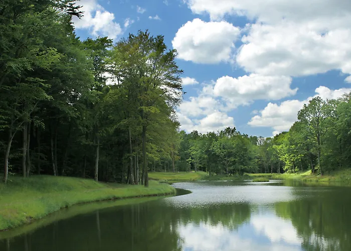 Dolina Charlotty Resort&spa Resort